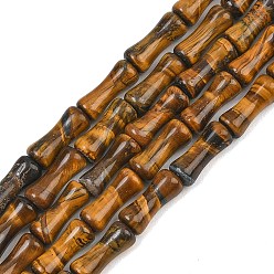 Tiger Eye Natural Tiger Eye Beads Strands, Bamboo Joint, 12x5mm, Hole: 1.2mm, about 37pcs/strand, 14.96''(38cm)