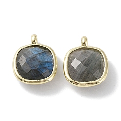 Labradorite Natural Labradorite Pendants, Faceted Square Charms, with Golden Plated Brass Edge Loops, 16.5x13x6mm, Hole: 2.2mm