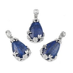 Ляпис-Лазурь Крашеные природные лазурит подвески, с латунной фурнитурой , капля, платина, 31x19x8 мм, отверстие : 4.5x8 мм