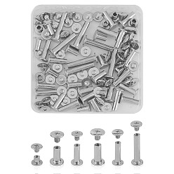 Platinum 120Set 6 Style Iron Screw Rivets, Chicago Screws, Garment Accessories, Platinum, 20set/style