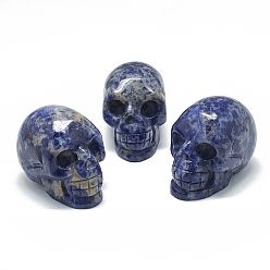 Sodalite Natural Sodalite Display Decorations, Skull, 36~41x28~33x43~50mm