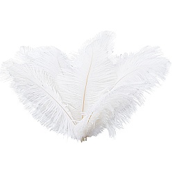 White Gorgecraft 24Pcs Ostrich Feather Costume Accessories, Sewing Craft Decoration, Feather, White, 223x100x2mm, about 24pcs/bag