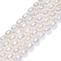 Seashell Color Natural Cultured Freshwater Pearl Beads Strands, Rice, Seashell Color, 4.5~5x3~4mm, Hole: 0.7mm, about 68~69pcs/strand, 14.17 inch(36cm)