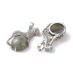 Лабрадорита Природные подвески лабрадорита, с латунной фурнитурой , леопард, платина, 36.5x21.5x8.5 мм, отверстие : 5x8 мм