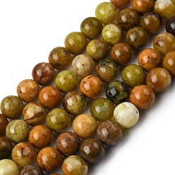 Зеленый Опал Естественный зеленый опал бисер нитей, круглые, 10 мм, отверстие : 1 мм, около 37~39 шт / нитка, 15.35''~15.75'' (39~40 см)