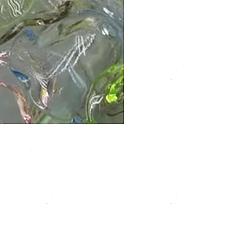 Светло-Голубой 30шт. акриловых колпачков для бусин для изготовления ветряных колокольчиков, мульти-лепесток цветка, Небесно-голубой, 21~24.5x13 мм, отверстие : 2 мм