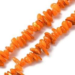 Золотистый Естественных пресноводных оболочки бисер нитей, чип, окрашенные, золотые, 6~16x4~8x1~7 мм, отверстие : 1 мм, около 97~157 шт / нитка, 15.75 дюйм (40 см)