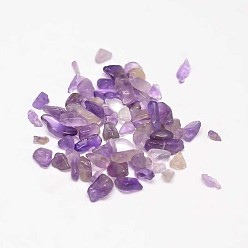 Amethyst Natural Amethyst Chip Beads, No Hole/Undrilled, 3~9x1~4mm