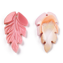 Pink Shell Natural Pink Shell Pendants, Feather Charm, 24.5x14x3mm, Hole: 1mm