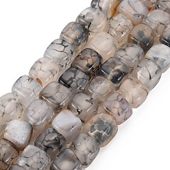 Dark Gray Natural Agate Beads Strands, Dyed & Heated, Cube, Dark Gray, 5~8x4~8x4~6mm, Hole: 1.2mm, about 50pcs/strand, 14.76 inch(37.5cm)