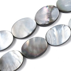 черная губная раковина Натуральный черный оболочки губ бисер нитей, Плоско-овальные, 25x18~18.5x3.5 мм, отверстие : 1 мм, около 18 шт / нитка, 15.75'' (40 см)