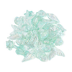 Средний Аквамарин Прозрачные акриловые бусины с океанской тематикой, разнообразные, средний аквамарин, 10~20x5.5~23x2.5~9 мм, отверстие : 1.5~1.8 мм, Около 1272 шт / 500 г