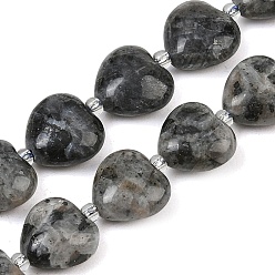 Labradorit Natur Labradorit Perlen Stränge, Herz, 11~11.5x12x6 mm, Bohrung: 1.1 mm, ca. 36 Stk. / Strang, 15.35 Zoll (39 cm)