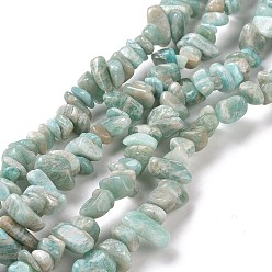 Amazonite Natural Amazonite Chip Beads Strands, 5~8x5~8mm, Hole: 1mm, about 31inch