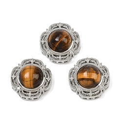 Тигровый глаз Многорядные звенья из натурального тигрового глаза, Латунные коннекторы, платина, стойки покрытие, 18x18x10 мм, отверстие : 1.8 мм