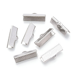 Платина Железо лента обжима концов, платина, 8x20 мм, отверстие : 2 мм