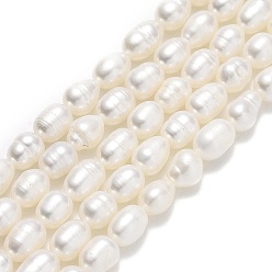 Linen Natural Cultured Freshwater Pearl Beads Strands, Rice, Linen, 6.5~8x5.5~6mm, Hole: 0.7mm, about 42~50pcs/strand, 14.17''(36cm)