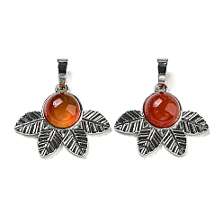 Red Agate Натуральный красный агат подвески, стойки покрытие латунь лист прелести, платина, без кадмия и без свинца, 22x27x7 мм, отверстие : 8x5 мм