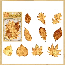 Leaf 20Pcs 10 Styles Autumn Gold Stamping Paper Self Adhesive Decorative Stickers, for DIY Scrapbooking, Leaf, 146x95mm, 2pcs/style