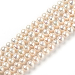 Bisque Natural Cultured Freshwater Pearl Beads Strands, Round, Bisque, 6.5x7mm, Hole: 0.5mm, about 57pcs/strand, 14.57 inch(37cm)