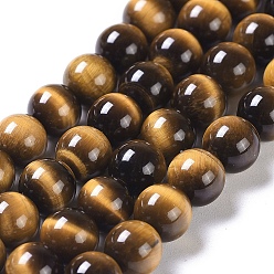 Tiger Eye Natural Tiger Eye Round Bead Strands, Grade A+, 6mm, Hole: 1mm, about 61pcs/strand, 15 inch