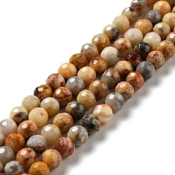 Crazy Agate Natural Crazy Agate Beads Strands, Faceted(128 Facets), Round, 6.5mm, Hole: 1mm, about 59~65pcs/strand, 13.78~14.96 inch(35~38cm)