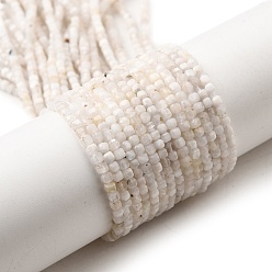 Rainbow Moonstone Бусины из натурального радужного лунного камня, граненые, кубические, 2x2x2 мм, отверстие : 0.9 мм, около 145 шт / нитка, 14.96'' (38 см)