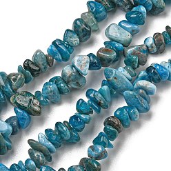 Apatite Natural Apatite Beads Strands, Chip, 8x5mm, Hole: 0.6mm, 33.07''(84cm)