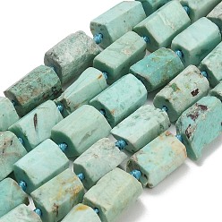Peruvian Turquoise(Jasper) Бусы натуральная перуанская бирюза (яшма), колонка, граненые, 12~14x7.5~9x7.5~9 мм, отверстие : 1 мм, около 28 шт / нитка, 17.13'' (43.5 см)