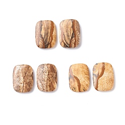 Picture Jasper Natural Picture Jasper Cabochons, Recangle with Pattern, 25x18x4mm, about 2pcs/pair