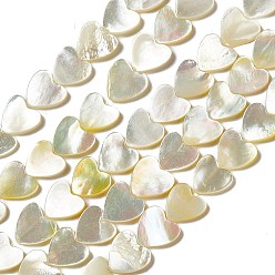White Shell Natural White Shell Beads Strands, Heart, 11x11~11.5x1.5~2mm, Hole: 0.5mm, about 38pcs/strand, 15.35~15.55 inch(39~39.5cm)