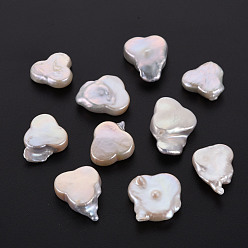 Coquillage De Mer Perles de perles keshi naturelles, perle de culture d'eau douce, pas de trous / non percés, nuggets, couleur de coquillage, 13~21x13~17x4~7mm