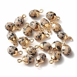 Dalmatian Jasper Electroplate Natural Dalmatian Jasper Charms, with Iron Findings, Faceted, Oval, Golden, 14~15x8x5~5.5mm, Hole: 1.8mm