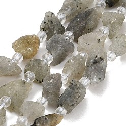 Labradorite Natural Labradorite Beads Strands, Raw Rough, Nuggets, with Seed Beads, 8~19x7~10x6~8mm, Hole: 1mm, about 28~30pcs/strand, 15.16''(38.5cm)~15.94''(40.5cm)