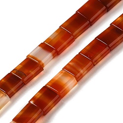 Red Agate Natural Red Agate Beads Strands, 2-Hole, Dyed, Rectangle, 5.5~6x5x2.5mm, Hole: 0.9mm, about 69~70pcs/strand, 15.12~15.2 inch(38.4~38.6cm)