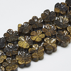 Tiger Eye Carved Natural Tiger Eye Beads Strands, Plum Blossom, 13~14x13~14x7~8mm, Hole: 1mm, about 16pcs/strand, 8.2 inch~8.6 inch