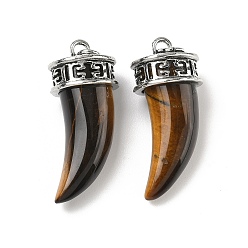 Тигровый глаз Природных тигровый глаз подвески, подвески в форме кинжала с фурнитурой из сплава, античное серебро, 35~38x16x14~14.5 мм, отверстие : 4 мм