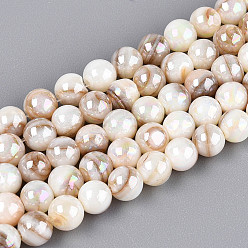 Seashell Color AB Color Natural Freshwater Shell Beads Strands, Round, Seashell Color, 5mm, Hole: 0.6~0.7mm, about 79~80pcs/strand, 14.76~15.16''(37.5~38.5cm)