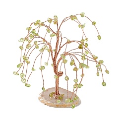 Peridot Natural Peridot Chips and Natural Agate Pedestal Display Decorations, with Rose Gold Plated Brass Wires, Lucky Tree, 54~72x89~112x107~112mm