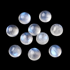 Rainbow Moonstone Кабошоны из натурального радужного лунного камня, полукруглый, 10x5~5.5 мм