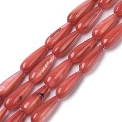 Indian Red Natural Freshwater Shell Beads Strands, Dyed, Teardrop, Indian Red, 15.5x5mm, Hole: 0.4mm, about 25pcs/strand, 15.08''(38.3cm)