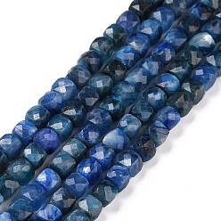 Kyanite Natural Kyanite/Cyanite/Disthene Beads Strands, Faceted, Cube, 4.5x4.5x4.5mm, Hole: 0.8mm, about 83pcs/strand, 15.16 inch(38.5cm)