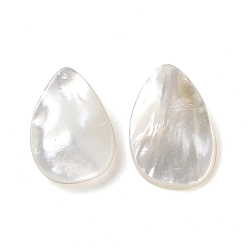 Seashell Color Natural White Shell Beads, Teardrop, Seashell Color, 13~14.5x9.5~10x2~3.5mm, Hole: 0.7mm