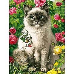 Colorful Cat DIY Diamond Painting Kit, Including Acrylic Board, Resin Rhinestones Bag, Diamond Sticky Pen, Tray Plate and Glue Clay, Colorful, 400x300mm