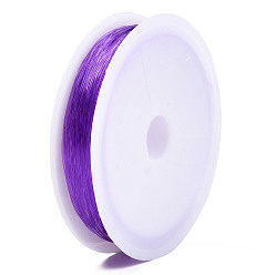 Blue Violet Elastic Crystal Thread, Jewelry Beading Cords, For Stretch Bracelet Making, Blue Violet, 0.5mm, about 21.87 yards(20m)/roll