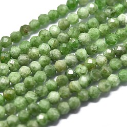 Diopside Natural Green Diopside Beads Strands, Round, Faceted, 2mm, Hole: 0.5mm, about 192pcs/Strand, 15.16 inch(38.5cm)