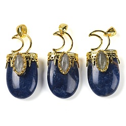 Содалитовое Природные подвески содалитом, Луна прелести, с реечным покрытием позолоченные латунные выводы, без свинца и без кадмия, 43.5~45x20~22x14.5~15.5 мм, отверстие : 6.5x5 мм