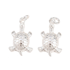 Посеребрённый Латунные подвески, с прыжковых колец, долговечный, без свинца и без кадмия, черепаховый шарм, стойки покрытие, 925 серебро покрытием, 15.5x9.5x3.5 мм, отверстие : 3.5 мм