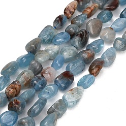 Aquamarine Natural Amazonite Beads Strands, Nuggets, Tumbled Stone, 6~13x6~8x3~7mm, Hole: 1mm, about 44~45pcs/strand, 14.96~15.35''(38~39cm)