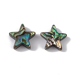 Colorful Natural Abalone Shell/Paua Shell Beads, Star, Colorful, 10x10.5x3.5mm, Hole: 0.8mm